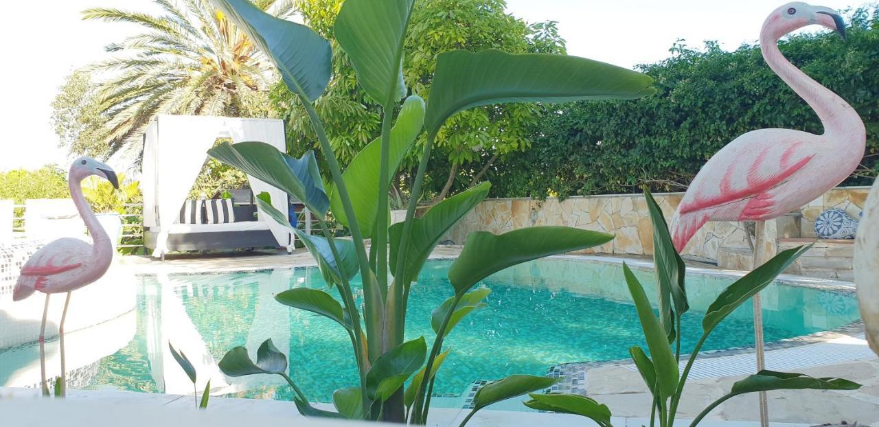 Casa completa para parejas jacuzzi piscina y wifi cerca al Caminito del Rey Málaga España Álora Exterior foto